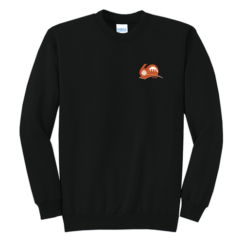 Port & Co™ Core Fleece Crewneck Sweatshirt